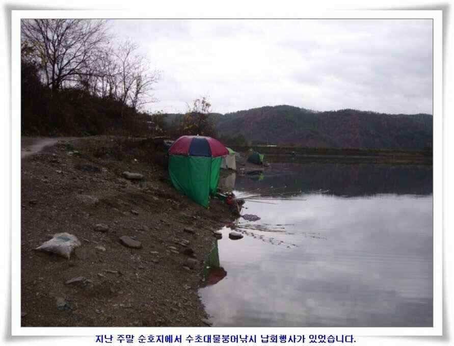 대형지와 소류지 조황 (조황조행기 - 낚시점조황)