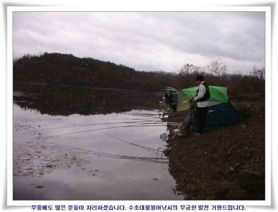대형지와 소류지 조황 (조황조행기 - 낚시점조황)