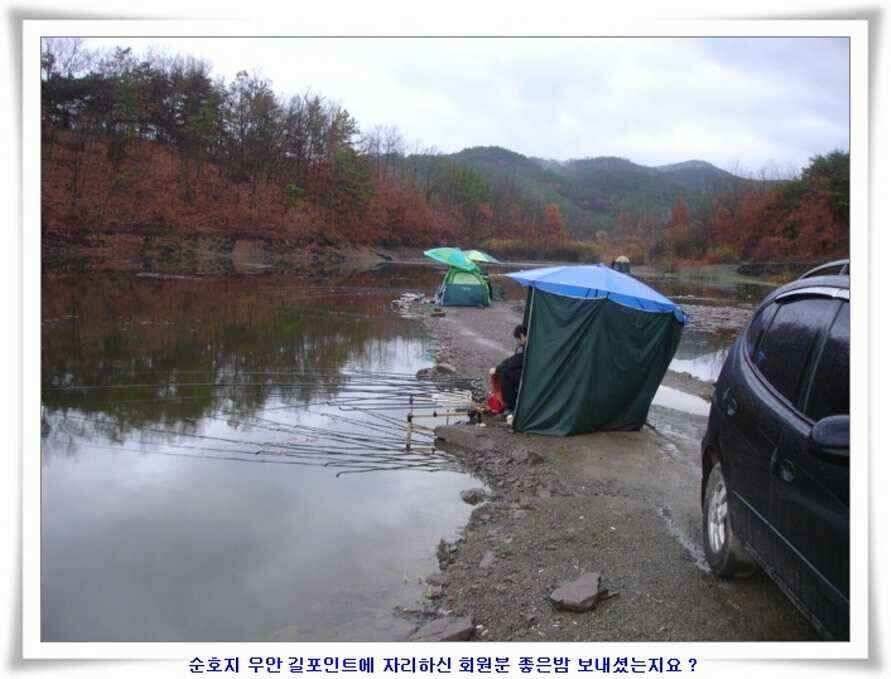 대형지와 소류지 조황 (조황조행기 - 낚시점조황)