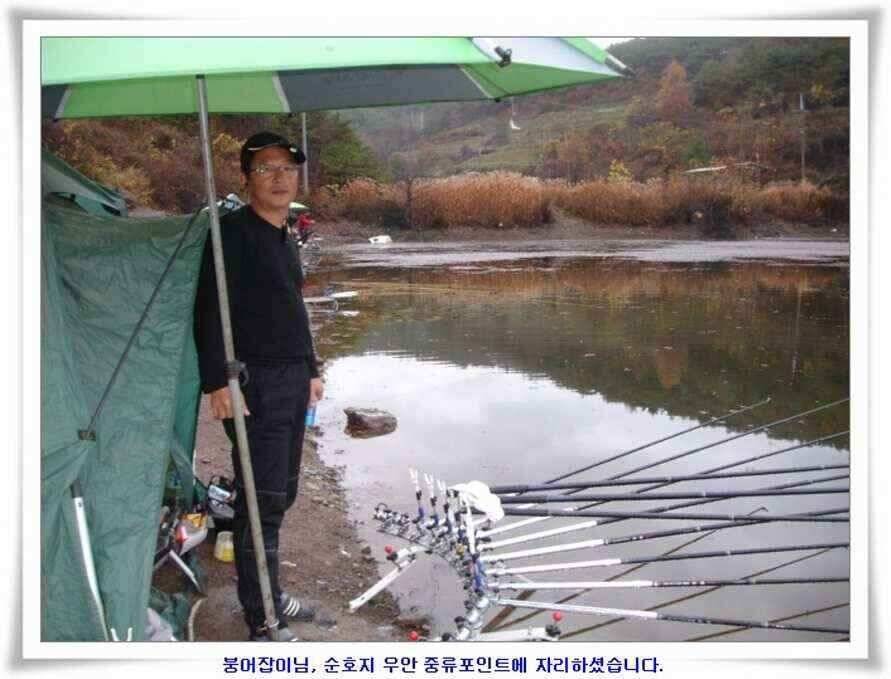 대형지와 소류지 조황 (조황조행기 - 낚시점조황)