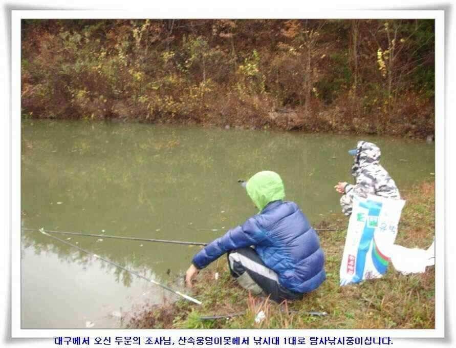 대형지와 소류지 조황 (조황조행기 - 낚시점조황)