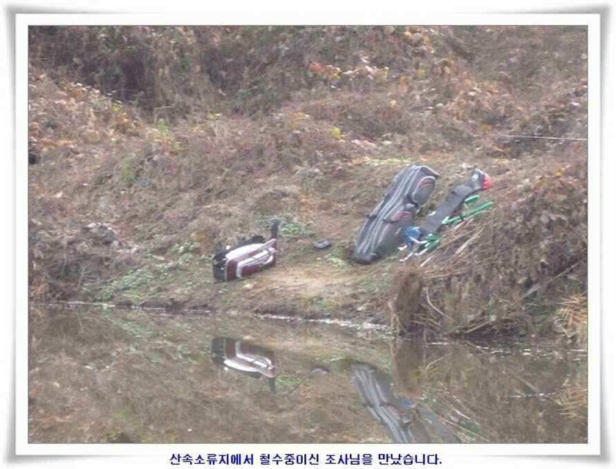 대형지와 소류지 조황 (조황조행기 - 낚시점조황)