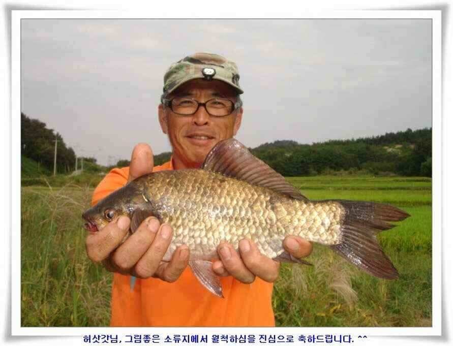 한발앞선 초대박조황 (조황조행기 - 낚시점조황)