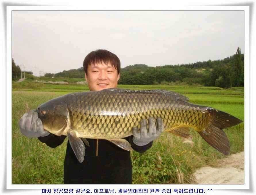 한발앞선 초대박조황 (조황조행기 - 낚시점조황)