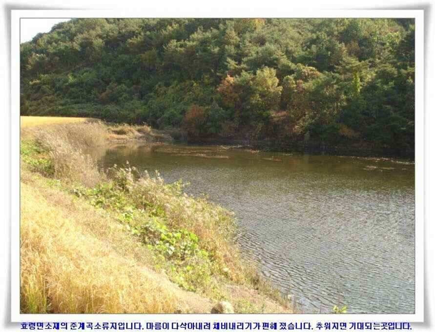 가을시즌 황금기 (조황조행기 - 낚시점조황)