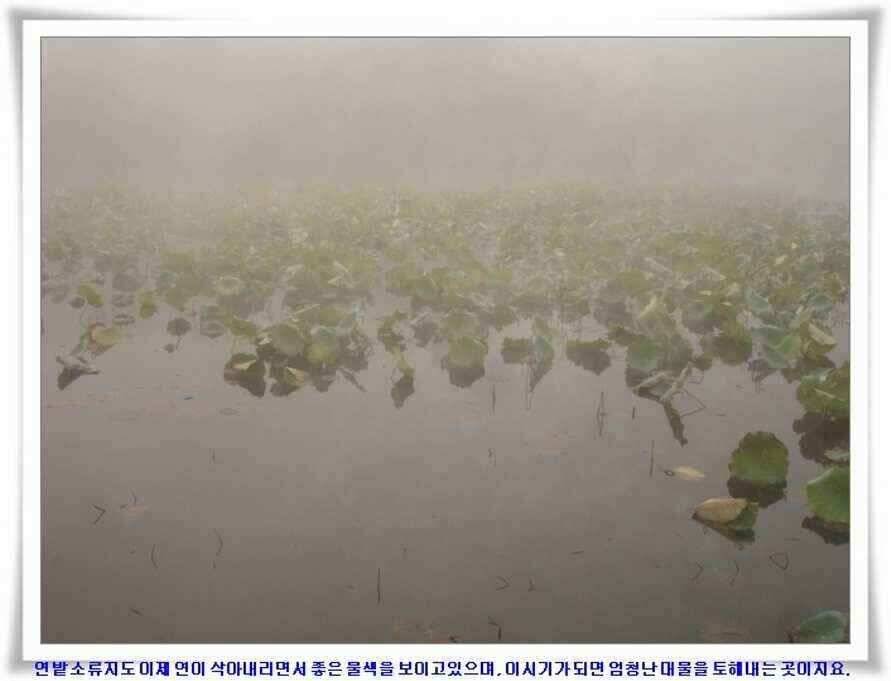 가을시즌 황금기 (조황조행기 - 낚시점조황)