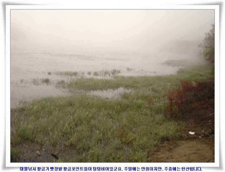 가을시즌 황금기 (조황조행기 - 낚시점조황)
