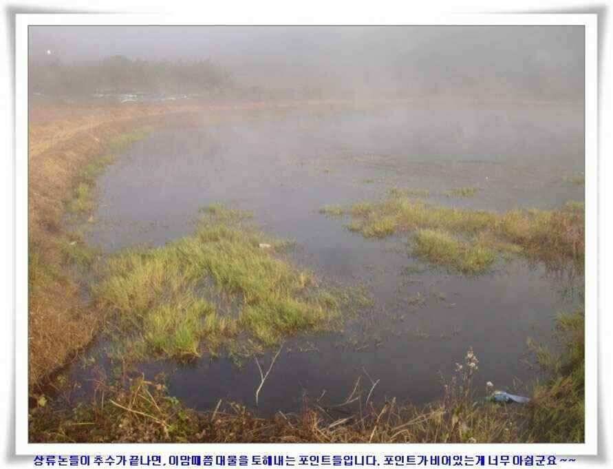 가을시즌 황금기 (조황조행기 - 낚시점조황)