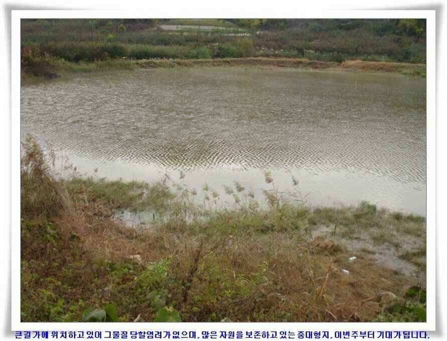 가을시즌 황금기 (조황조행기 - 낚시점조황)