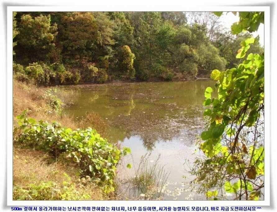 가을시즌 황금기 (조황조행기 - 낚시점조황)