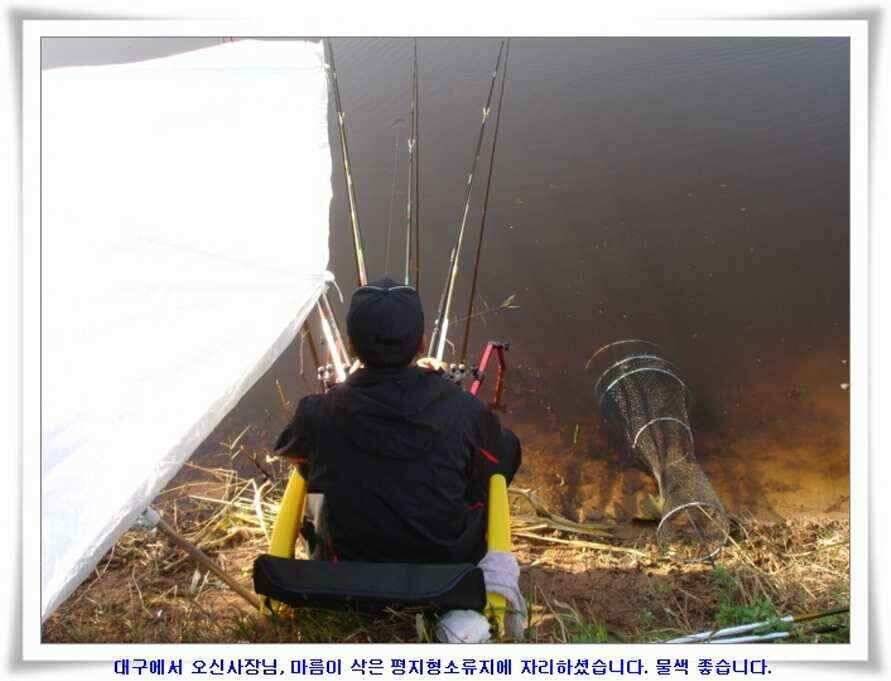 가을시즌 황금기 (조황조행기 - 낚시점조황)