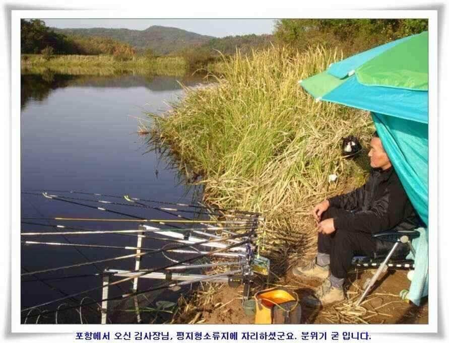 가을시즌 황금기 (조황조행기 - 낚시점조황)