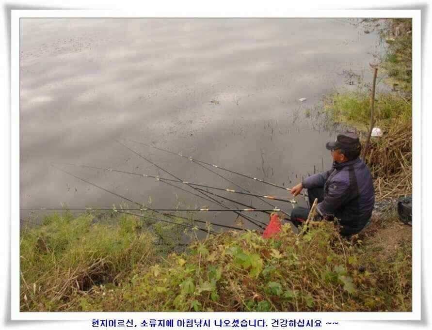 가을시즌 황금기 (조황조행기 - 낚시점조황)