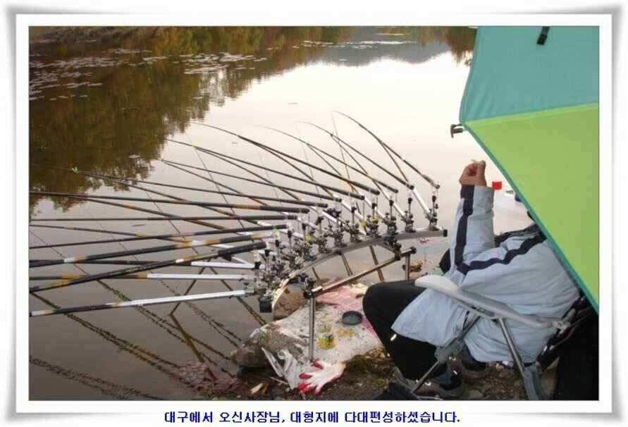 가을시즌 황금기 (조황조행기 - 낚시점조황)