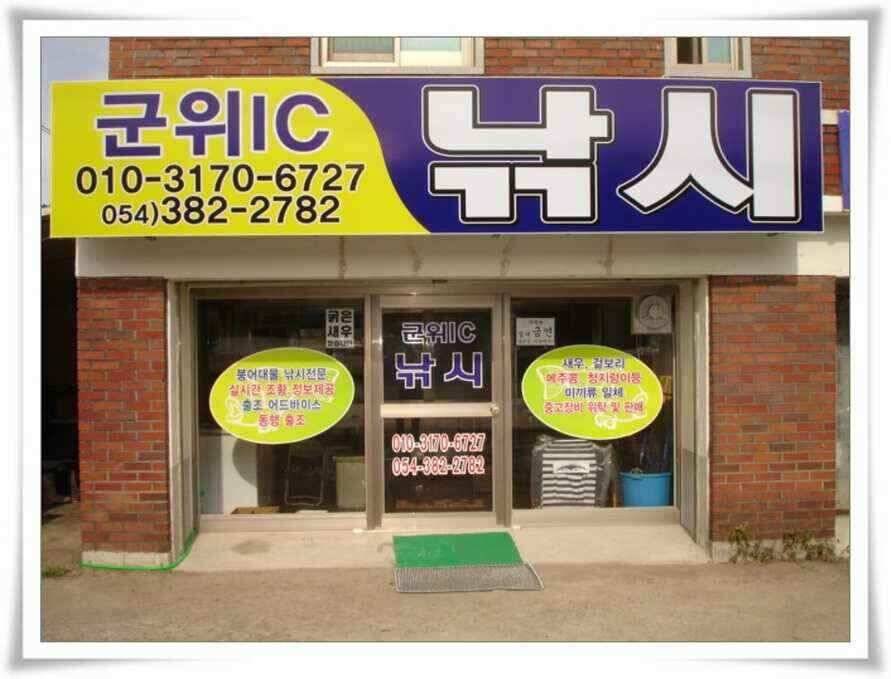 가을시즌 황금기 (조황조행기 - 낚시점조황)