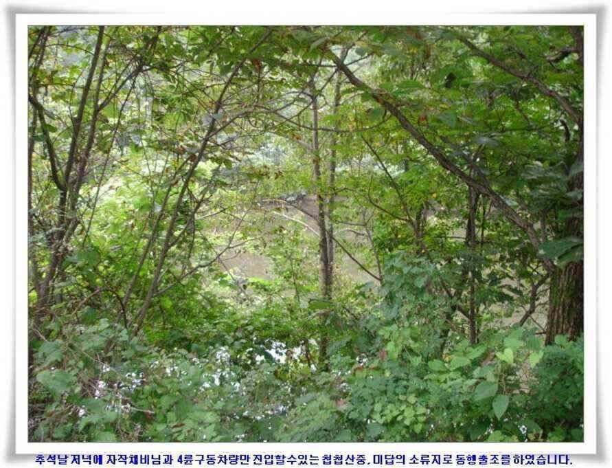 추석연휴조황 (조황조행기 - 낚시점조황)