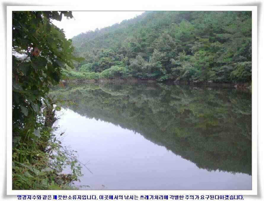 추석연휴조황 (조황조행기 - 낚시점조황)