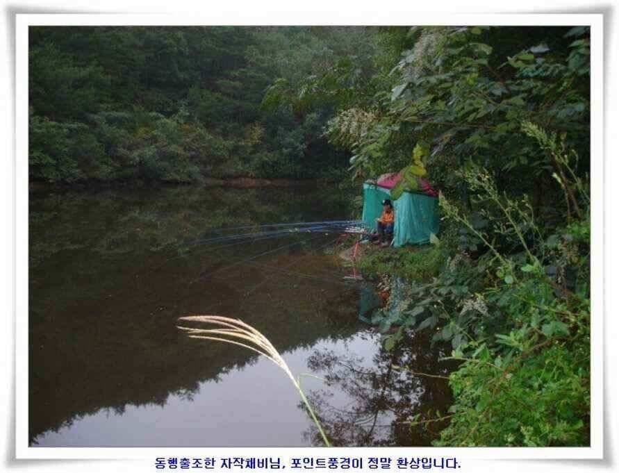 추석연휴조황 (조황조행기 - 낚시점조황)