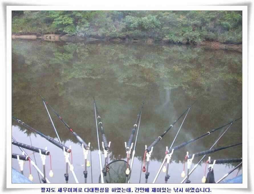추석연휴조황 (조황조행기 - 낚시점조황)