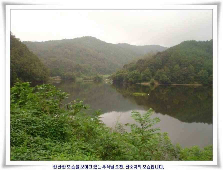 추석연휴조황 (조황조행기 - 낚시점조황)