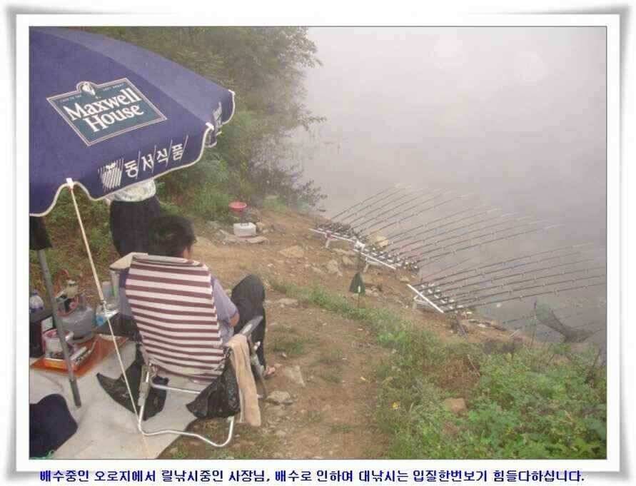추석연휴조황 (조황조행기 - 낚시점조황)