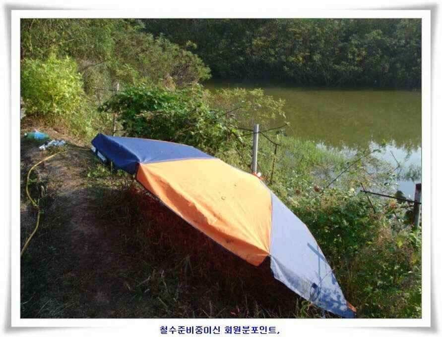 마릿수 초대박 (조황조행기 - 낚시점조황)