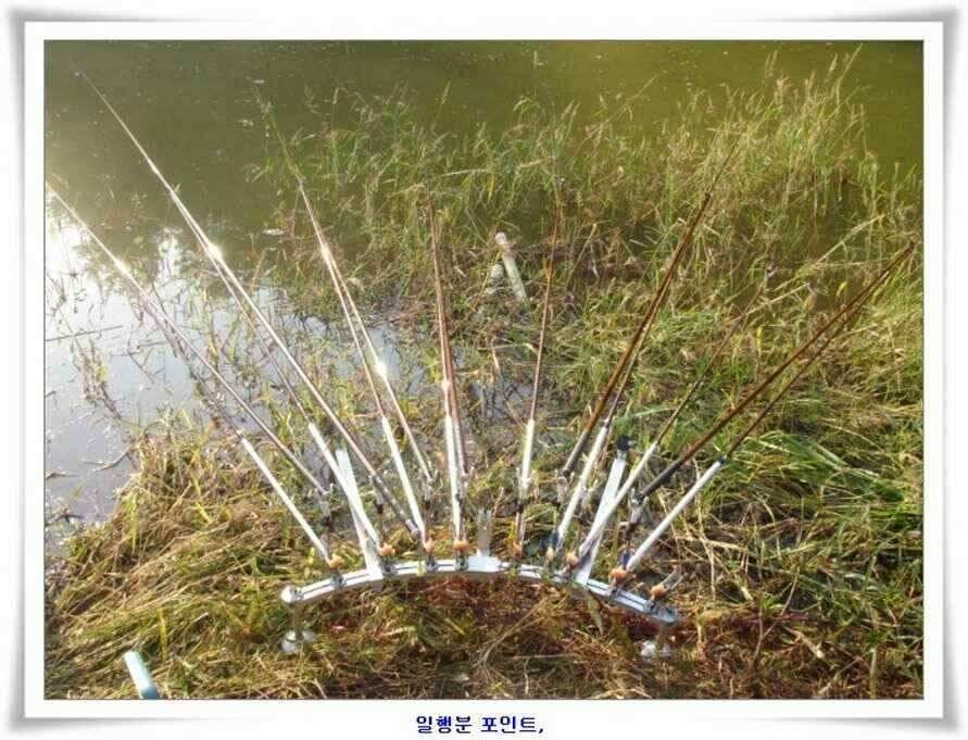 마릿수 초대박 (조황조행기 - 낚시점조황)