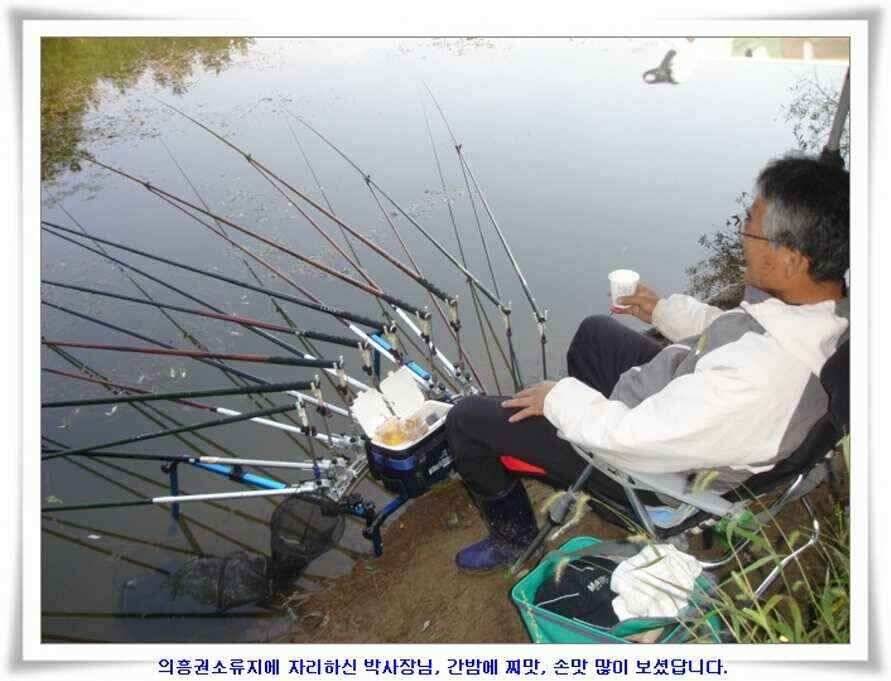 마릿수 초대박 (조황조행기 - 낚시점조황)