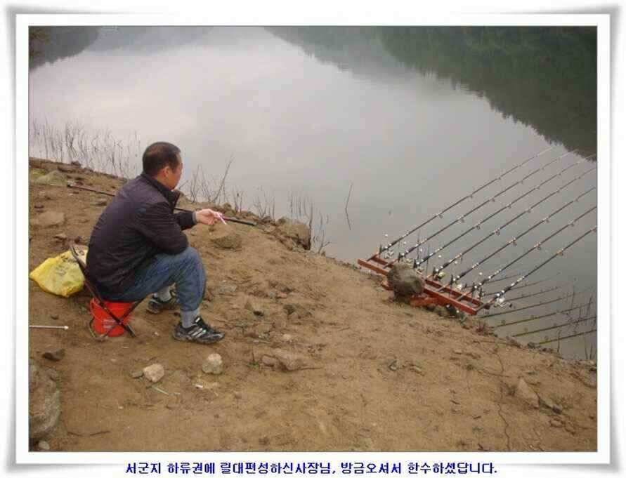 마릿수 초대박 (조황조행기 - 낚시점조황)