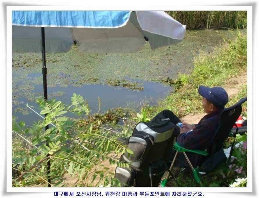 마릿수 초대박 (조황조행기 - 낚시점조황)