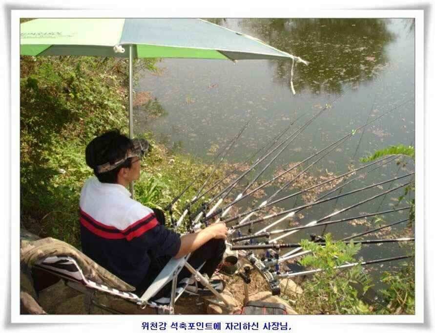 마릿수 초대박 (조황조행기 - 낚시점조황)