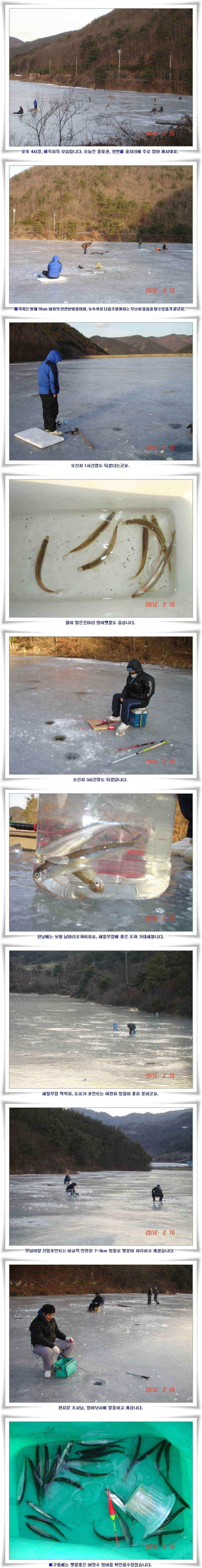 군위권금일 빙어조황입니다 (조황조행기 - 낚시점조황)