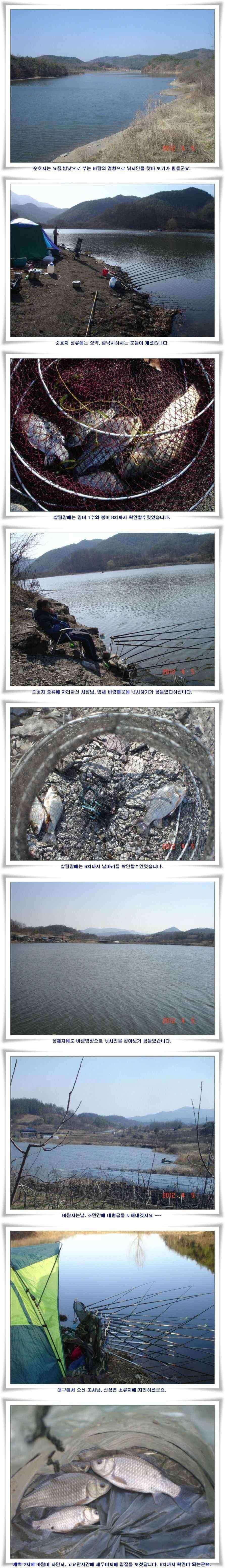 월척과 준척6수마릿수 (조황조행기 - 낚시점조황)