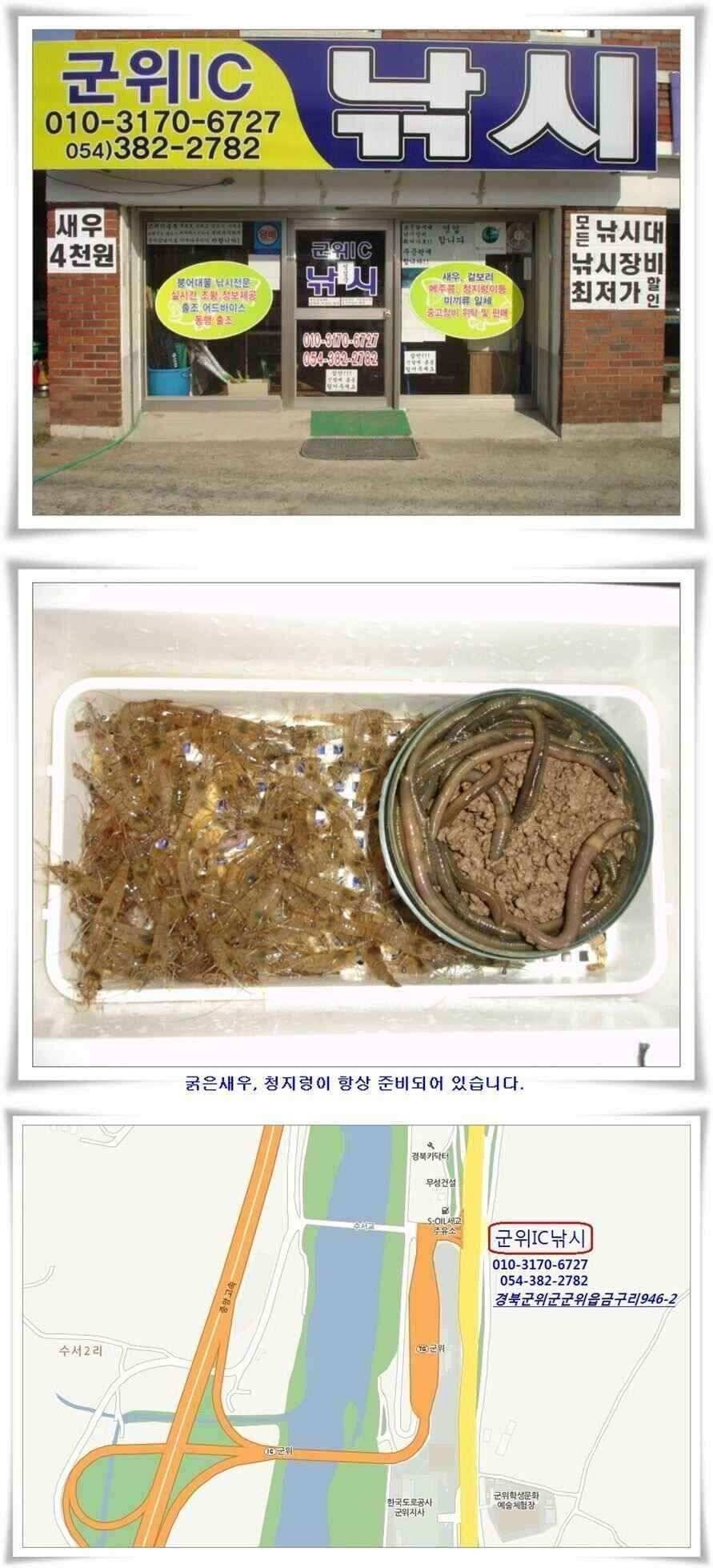 월척과 준척6수마릿수 (조황조행기 - 낚시점조황)
