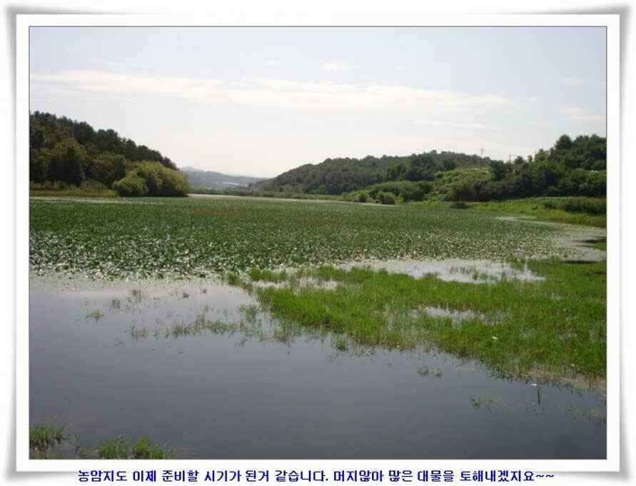 엄청난 대물들이 (조황조행기 - 낚시점조황)