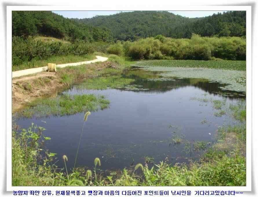 엄청난 대물들이 (조황조행기 - 낚시점조황)