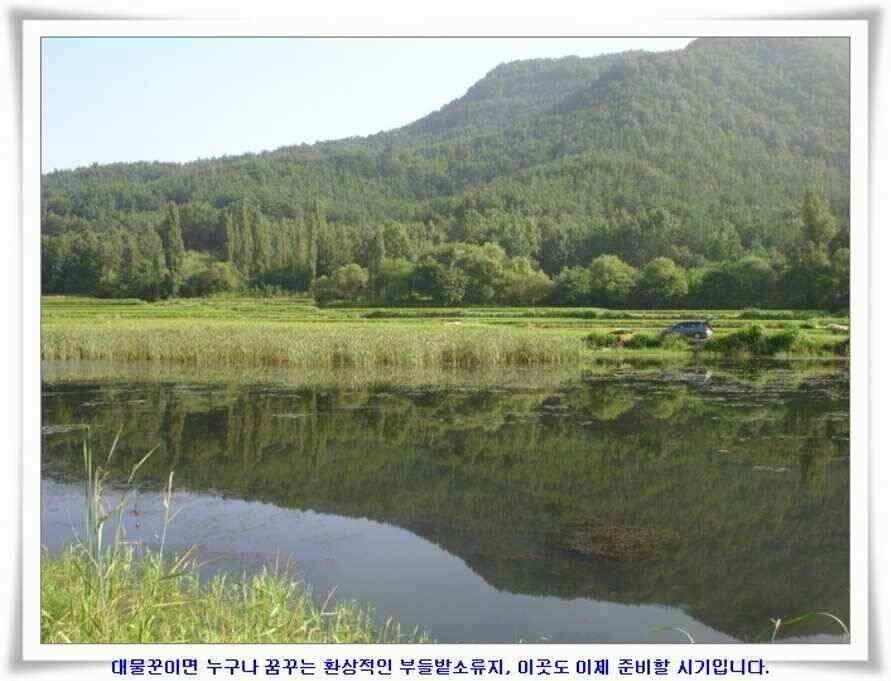 엄청난 대물들이 (조황조행기 - 낚시점조황)
