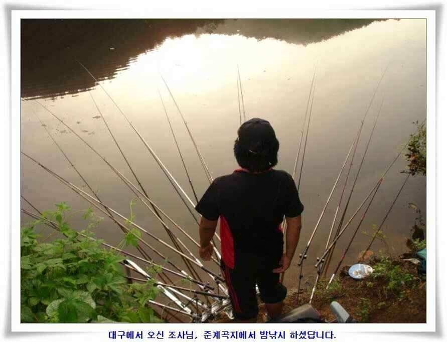 엄청난 대물들이 (조황조행기 - 낚시점조황)