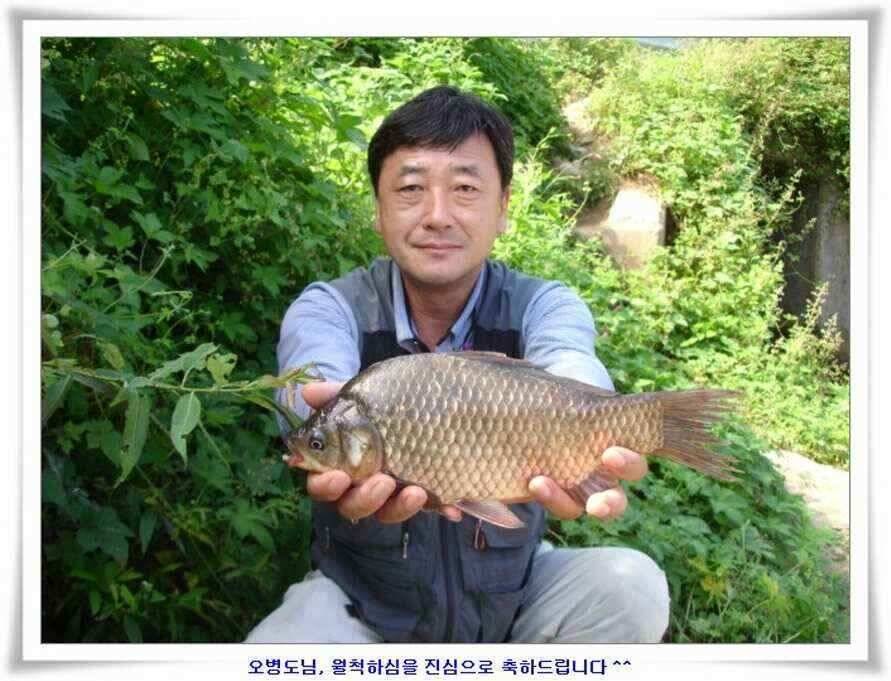 엄청난 대물들이 (조황조행기 - 낚시점조황)