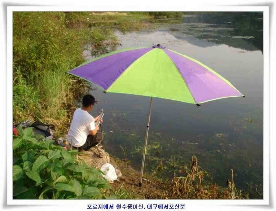 엄청난 대물들이 (조황조행기 - 낚시점조황)