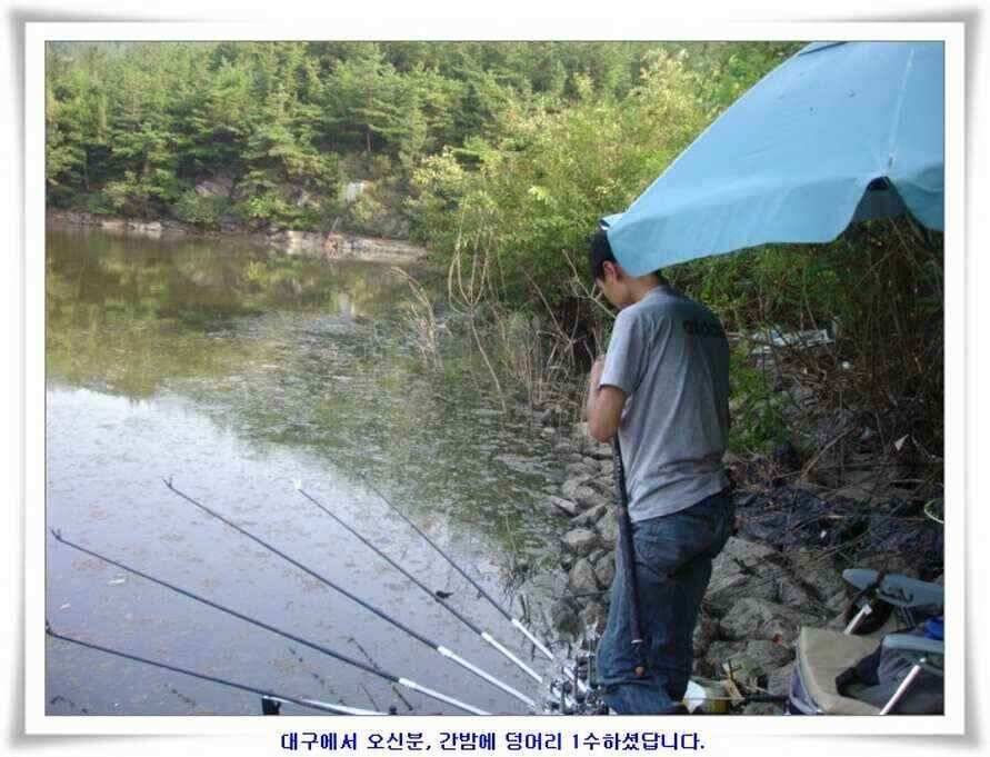 엄청난 대물들이 (조황조행기 - 낚시점조황)