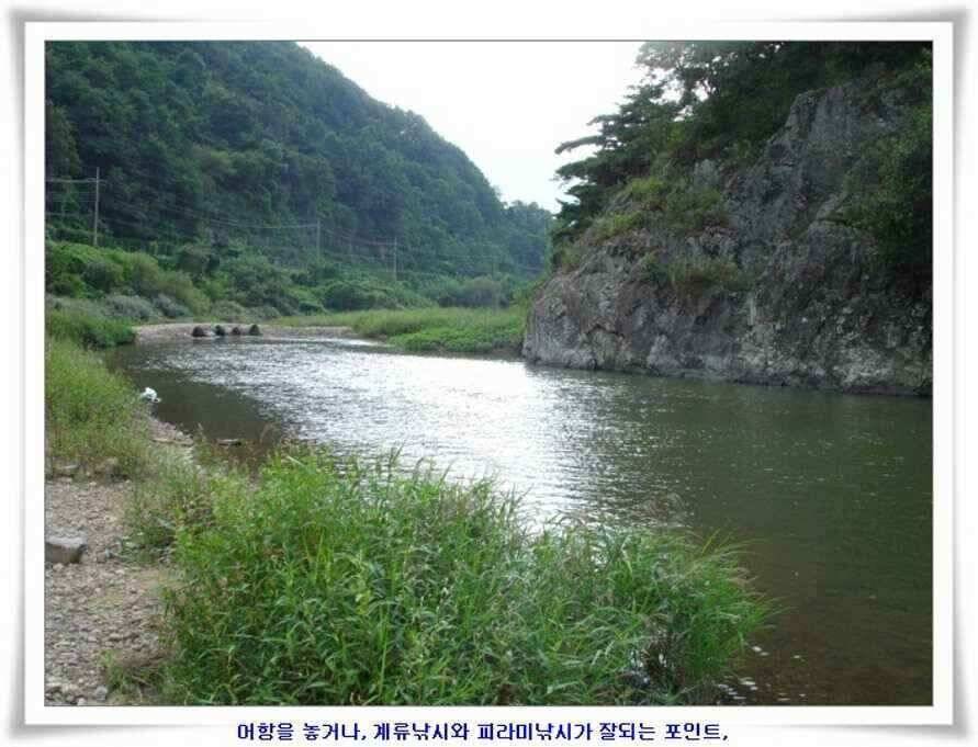 엄청난 대물들이 (조황조행기 - 낚시점조황)