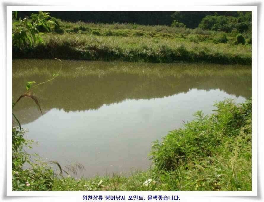 엄청난 대물들이 (조황조행기 - 낚시점조황)