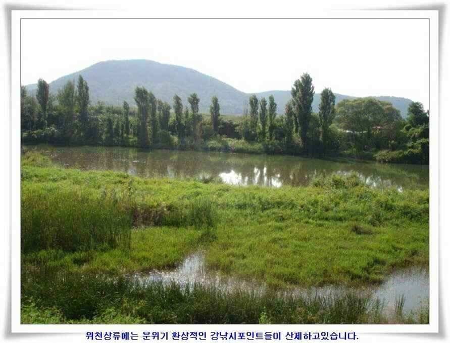 엄청난 대물들이 (조황조행기 - 낚시점조황)