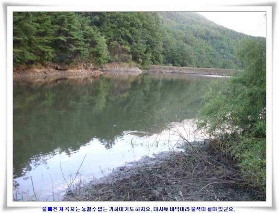 멋진 대물붕어와 포인트들 (조황조행기 - 낚시점조황)