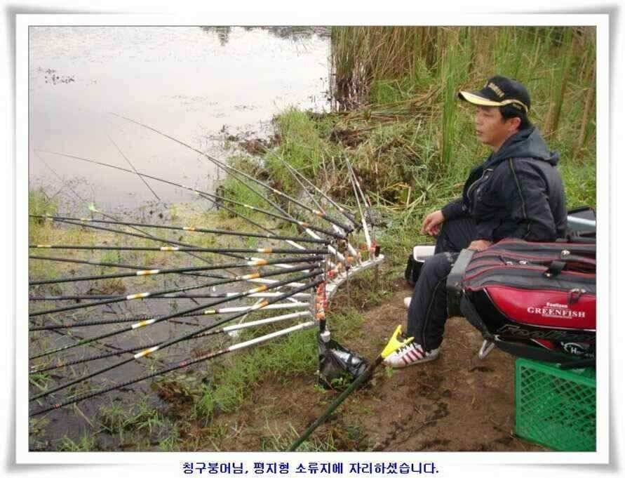 멋진 대물붕어와 포인트들 (조황조행기 - 낚시점조황)