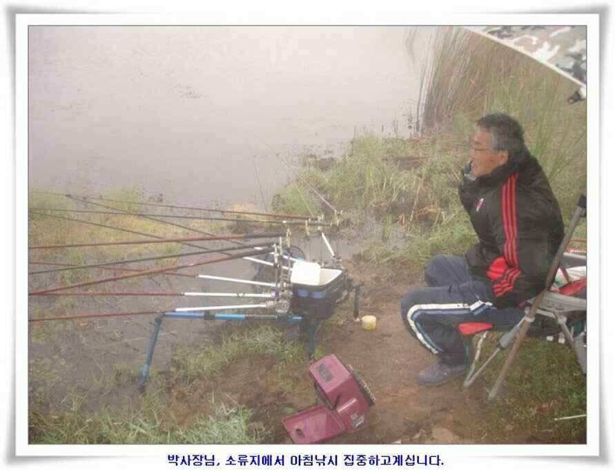 멋진 대물붕어와 포인트들 (조황조행기 - 낚시점조황)