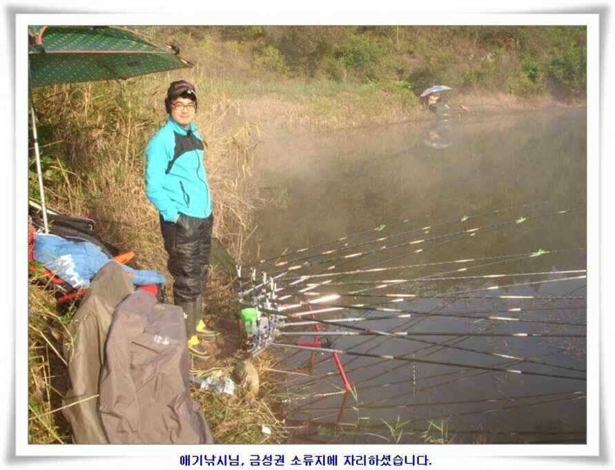 멋진 대물붕어와 포인트들 (조황조행기 - 낚시점조황)