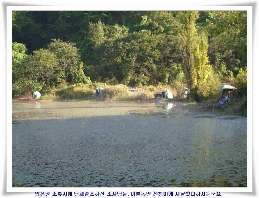 멋진 대물붕어와 포인트들 (조황조행기 - 낚시점조황)