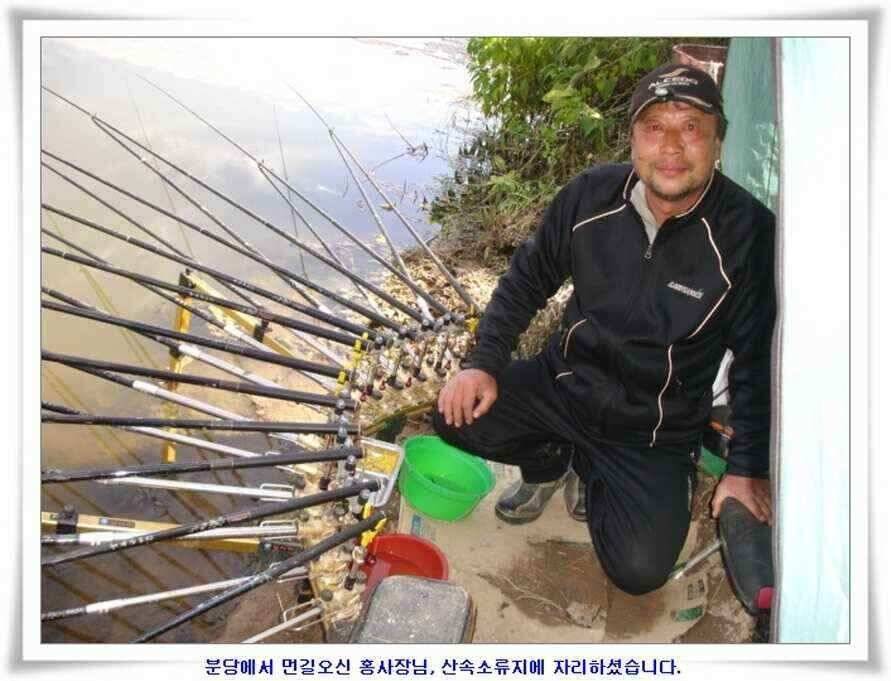 멋진 대물붕어와 포인트들 (조황조행기 - 낚시점조황)